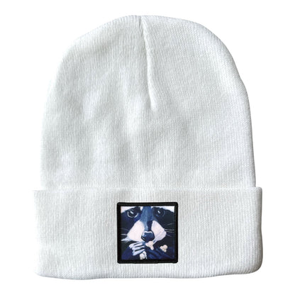 Raccoon Pop Beanie