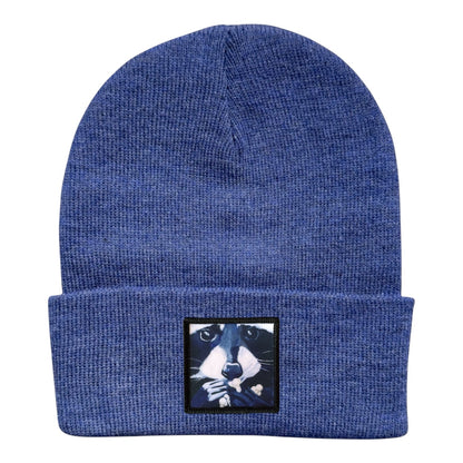 Raccoon Pop Beanie