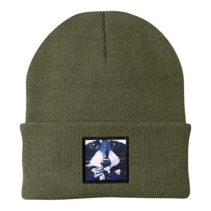 Raccoon Pop Beanie