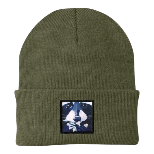 Raccoon Pop Beanie