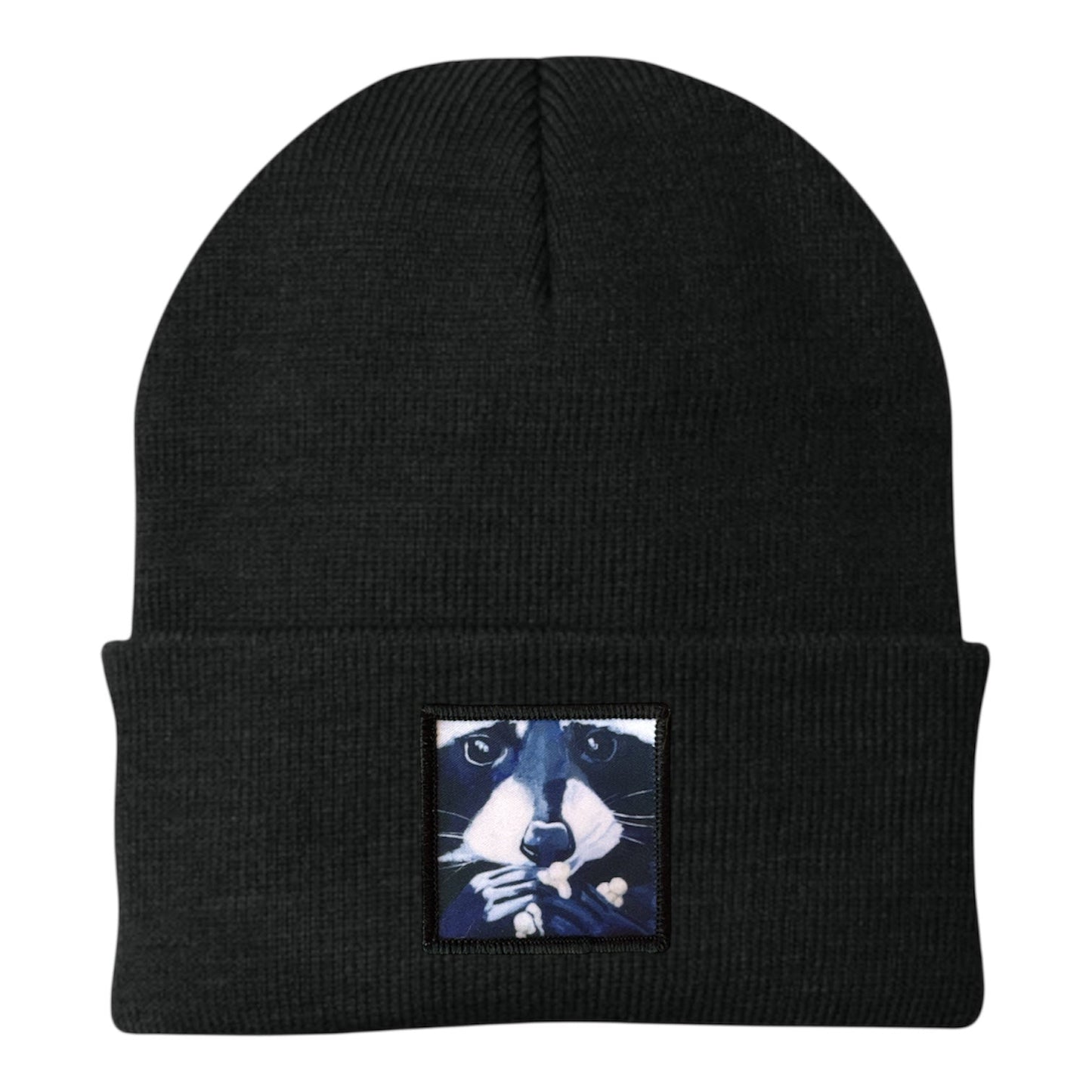 Raccoon Pop Beanie
