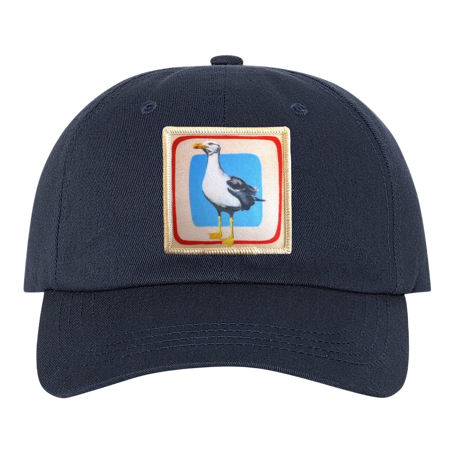 Eco-Washed Navy Dad Hat