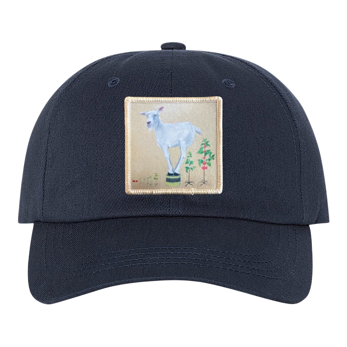 Eco-Washed Navy Dad Hat