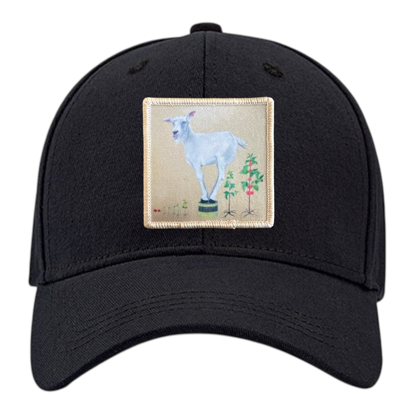 6 Panel Base Ball Cap