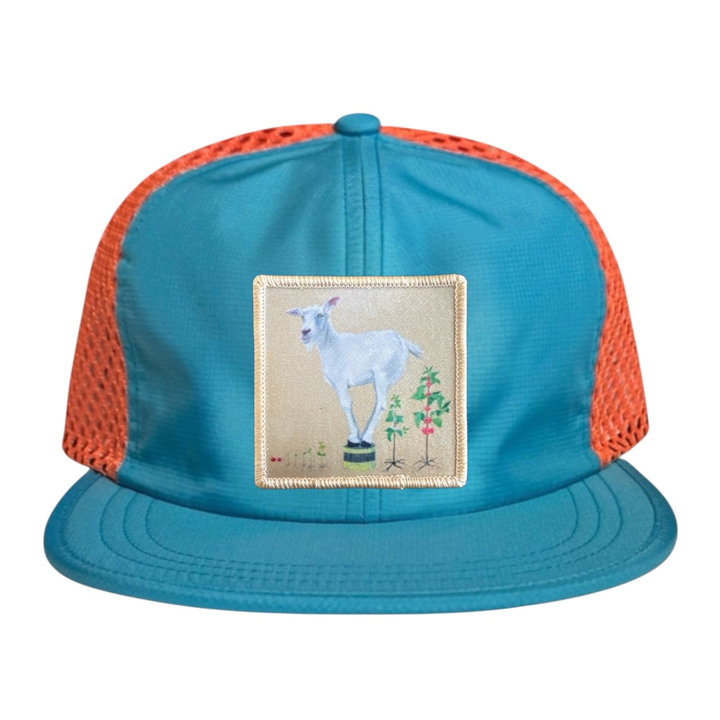 Wide Set Mesh Cap Orange/ Teal