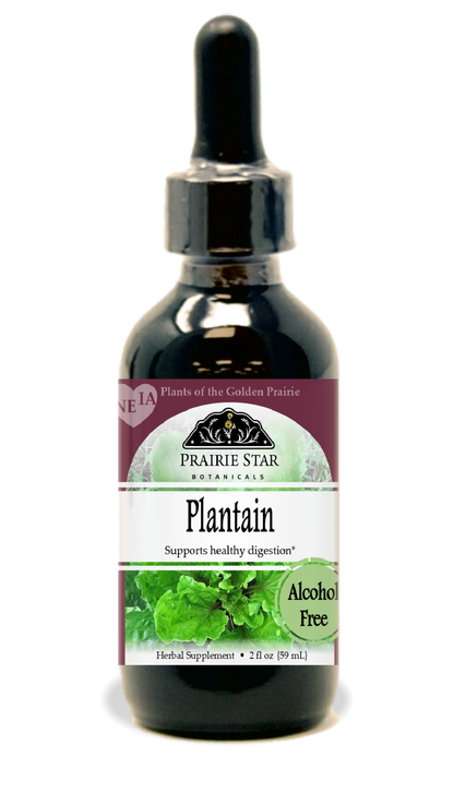 Plantain