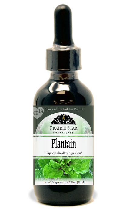 Plantain