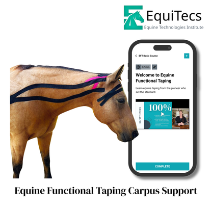 EquiTecs EFT Application Library - App