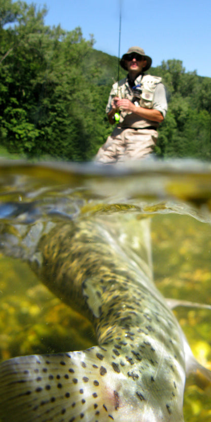 3 Pack Deer Hair Scruffy Rat Size 2 - Bass Fly Fishing Bug Wide Gape Bass Hooks With Weed Guard