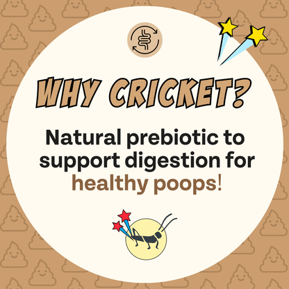 Superfood Cricket & Pumpkin Dog Treats, 4-Pack