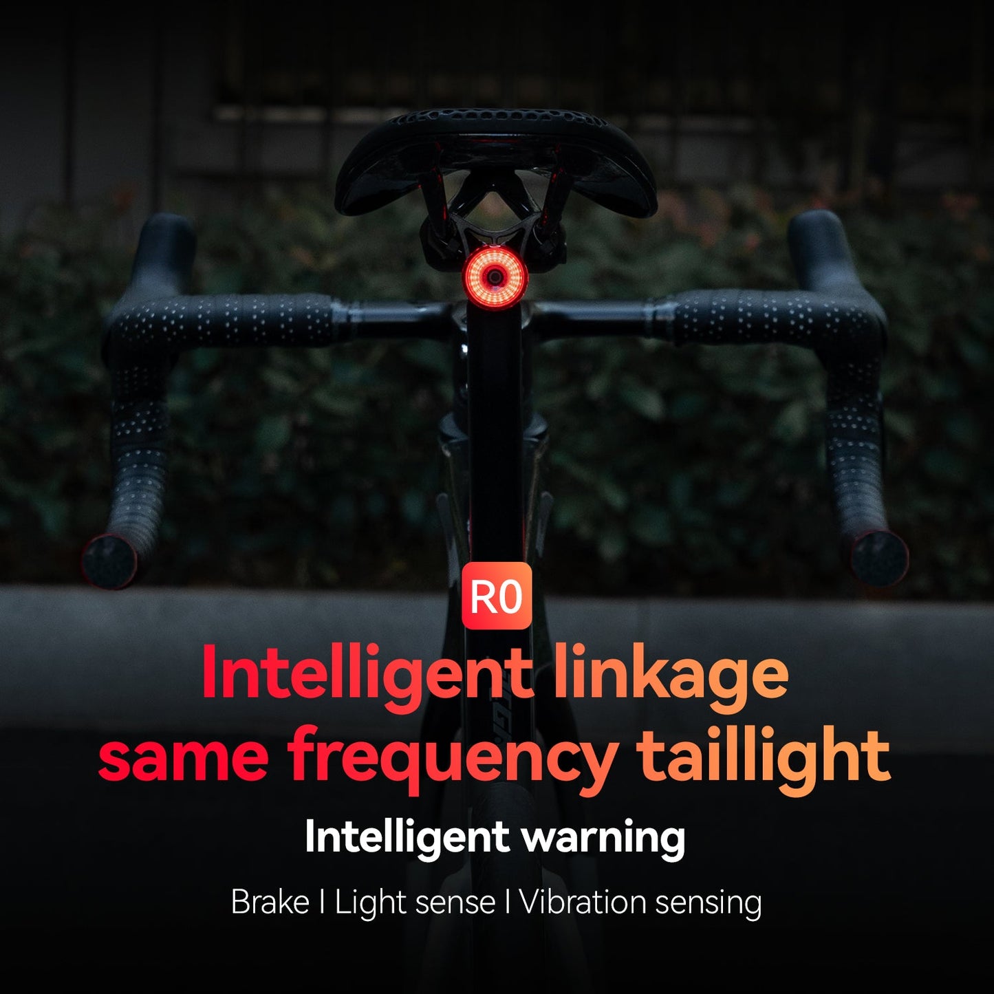 R0 Tail Light Brake sensor USB Handle Plug Smart Synchronization