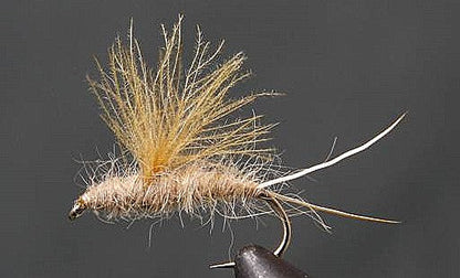 RS2 Emergers