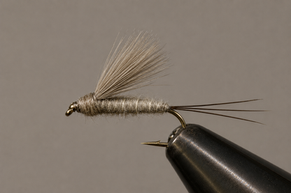 RS2 Emergers