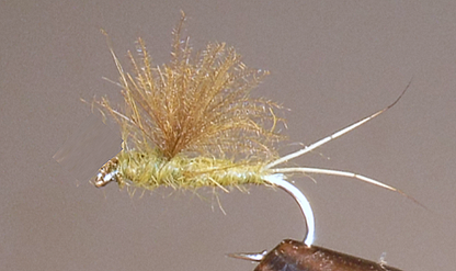 RS2 Emergers