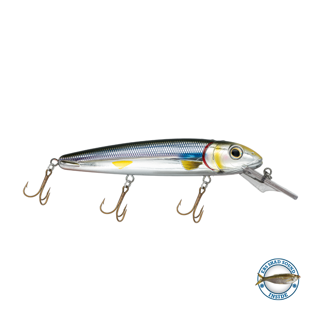 Rachel (Suspending) 8"