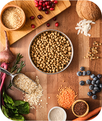 Senior Chicken & Multigrain Recipe