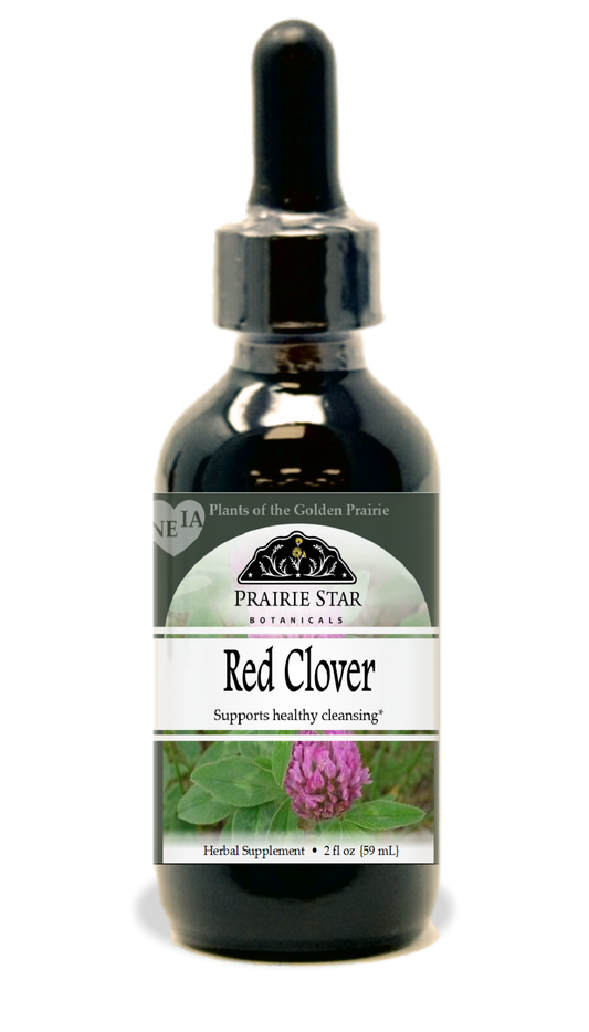 Red Clover