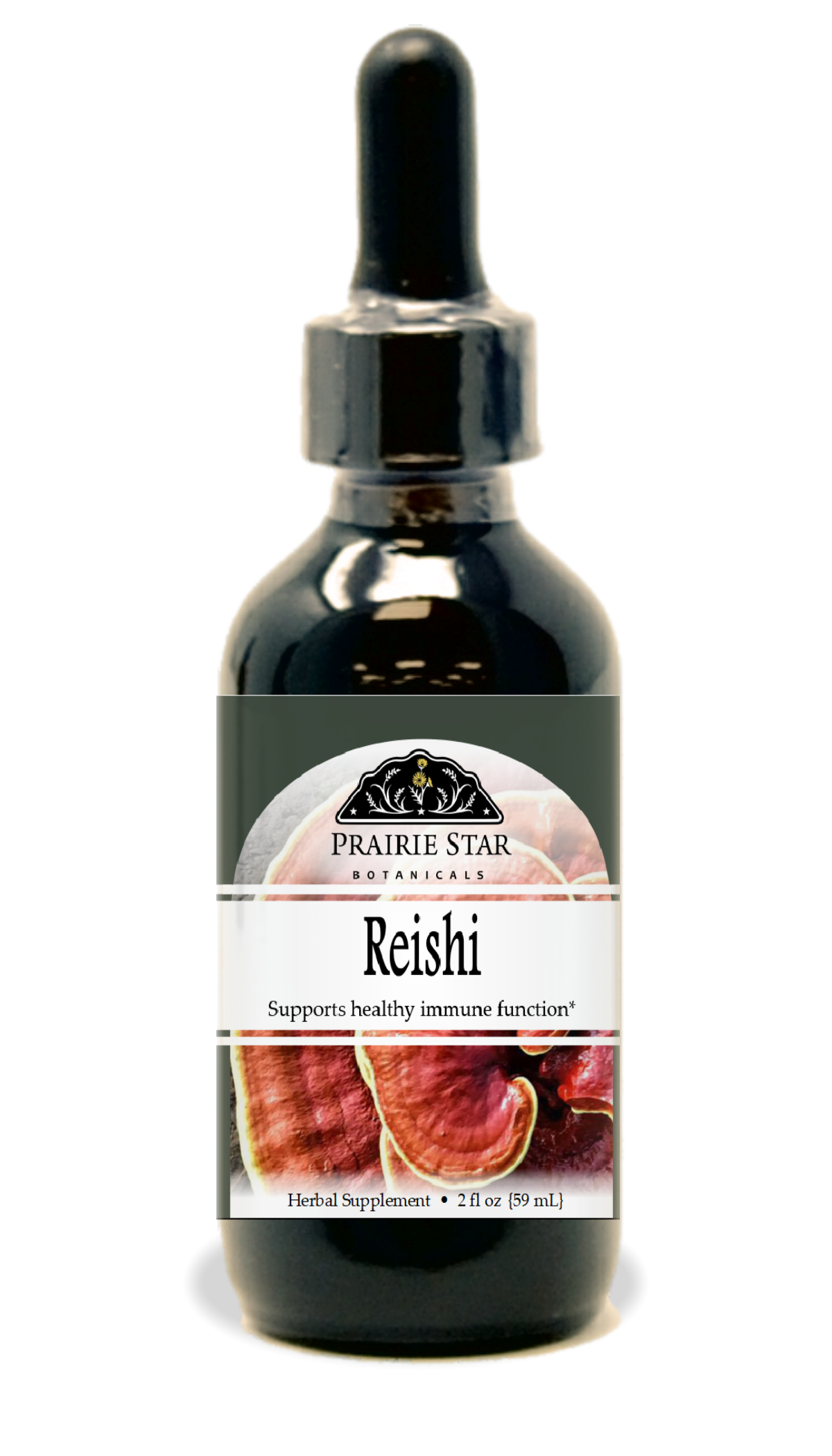 Reishi Mushroom