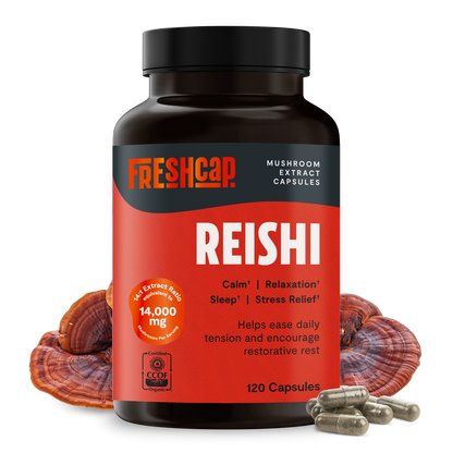 Reishi Mushroom Extract Capsules
