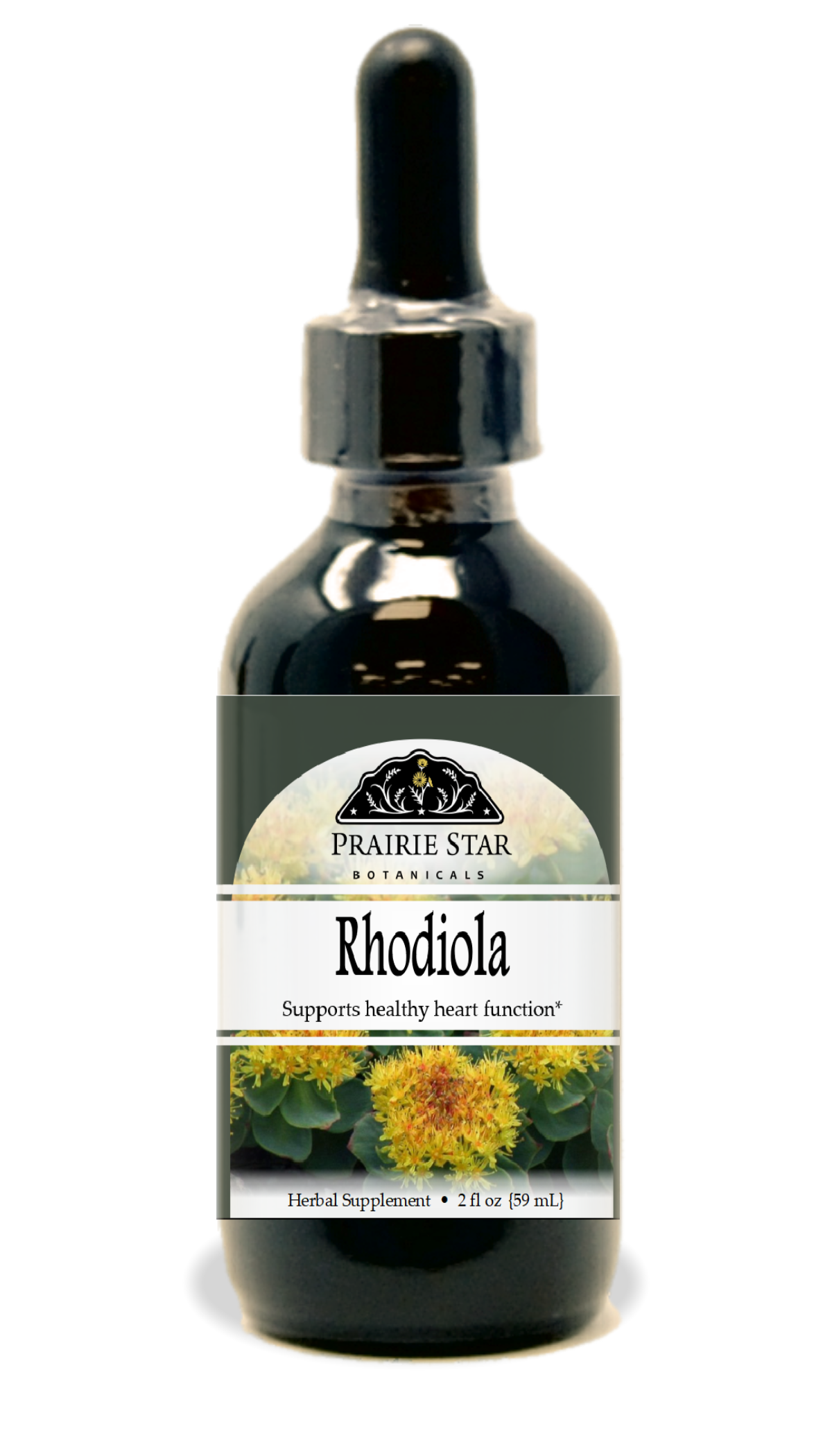 Rhodiola