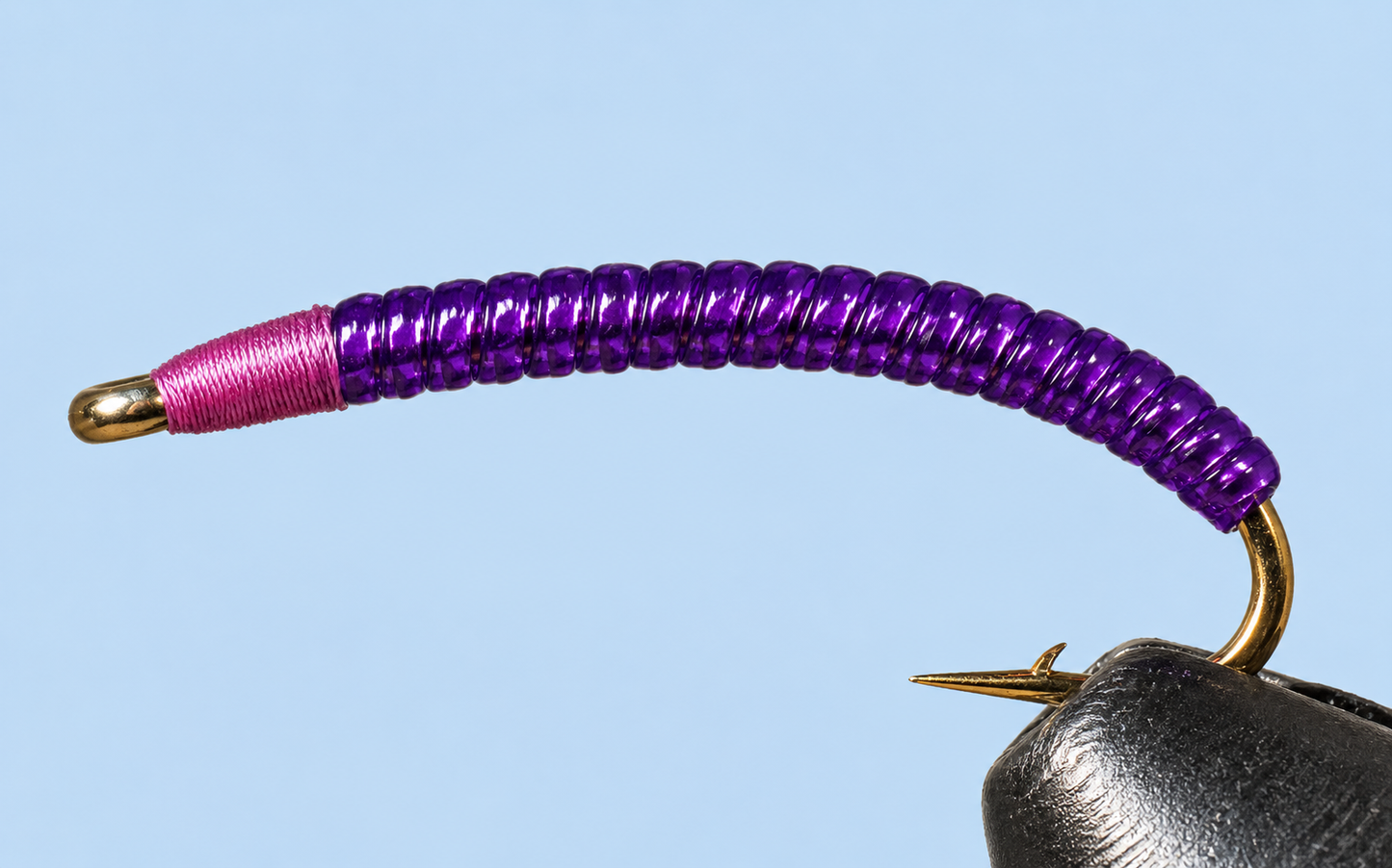 Rock Worm / Annelid - Red or Purple