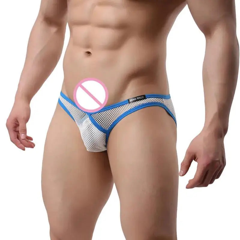 BRAVE PERSON Briefs for Men Underwear Sexy Transparent Underwear Low waist V-type Mesh Briefs Men Underpants B1149