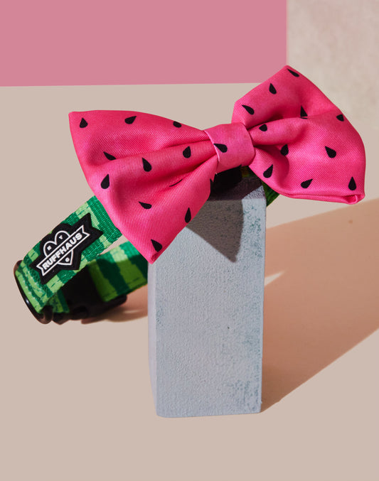 What-A-Melon Collar & Bowtie