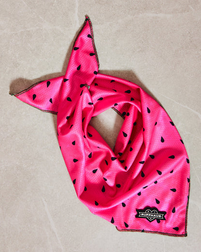 What-A-Melon Cooling Bandana