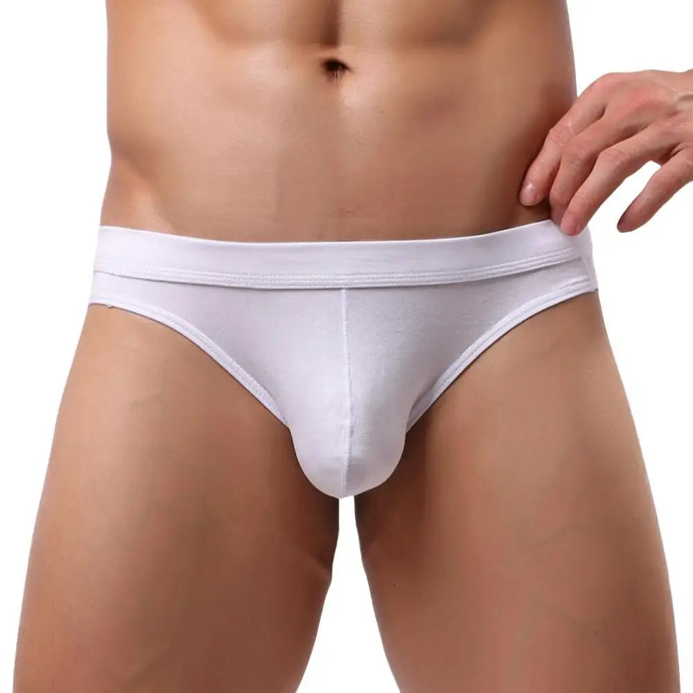 YUYANG Brand Underwear Men's Supersoft Modal Briefs Low Rise Sexy Comfortable Underpants Briefs for Man