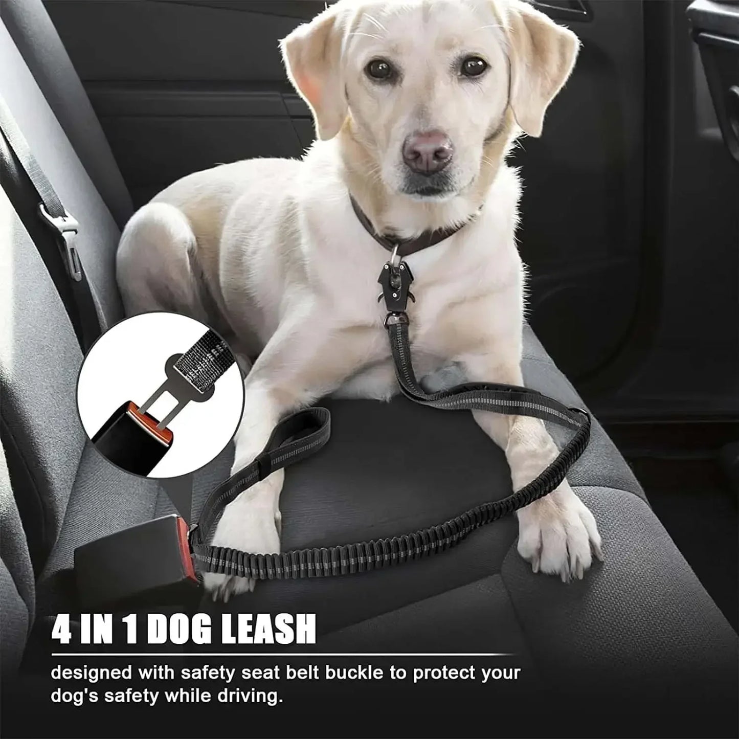 ReflectaBungee: Heavy-Duty Dog Leash & Seatbelt