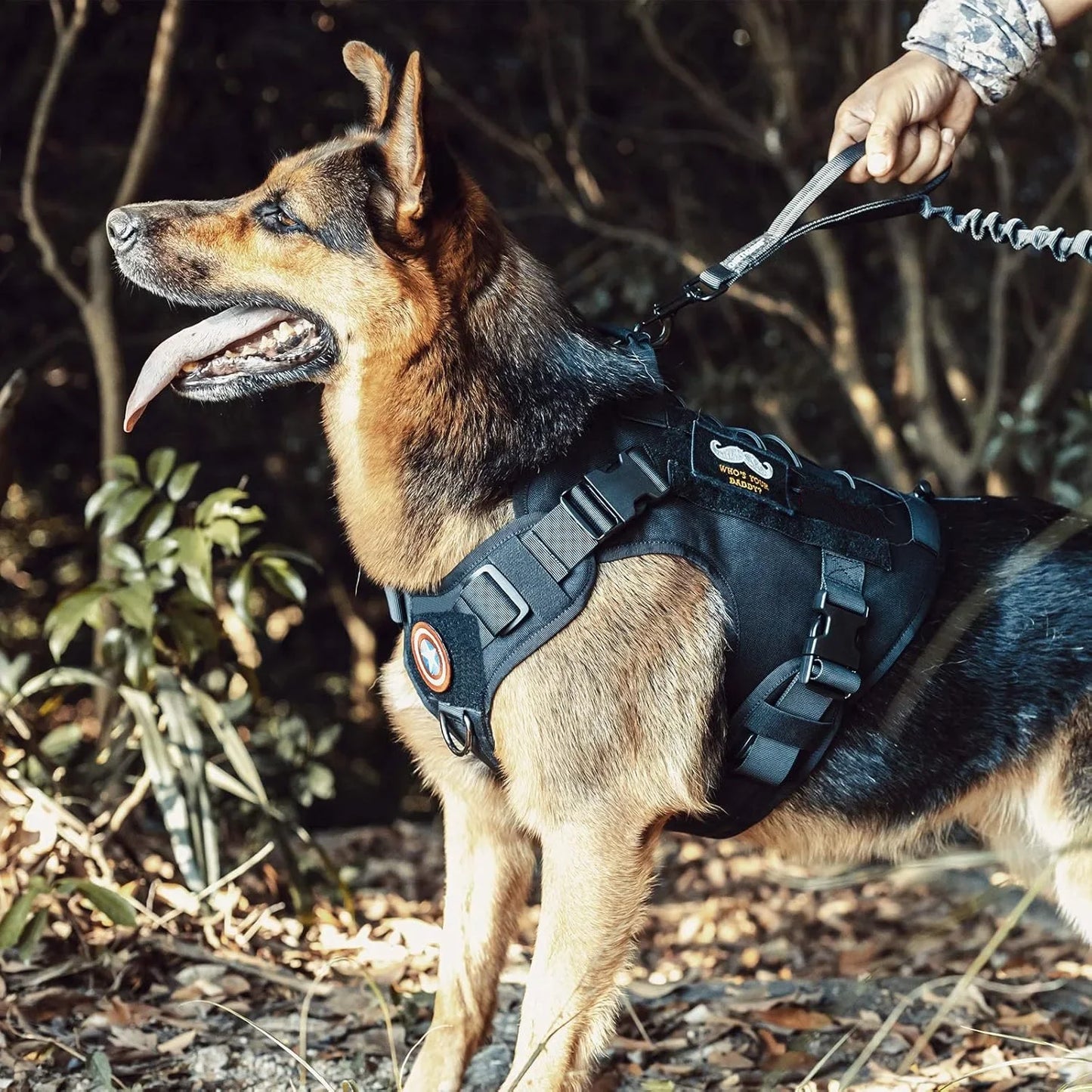 TactiGrip No-Pull Dog Vest: Adjustable & Secure