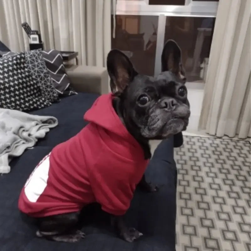 Pet Dog Hoodies The Dog Face