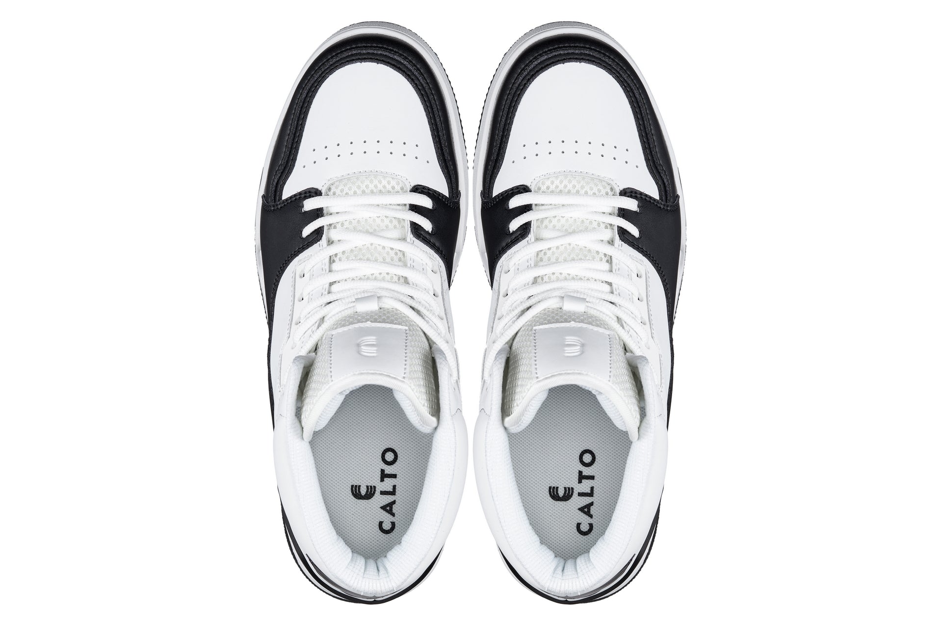 CALTO - S4752 - 3 Inches Taller (White/Black) - High Top Sneakers - Triathlete Store