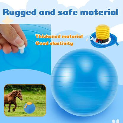 Herding PlayPro: Inflatable Agility Ball for Dogs