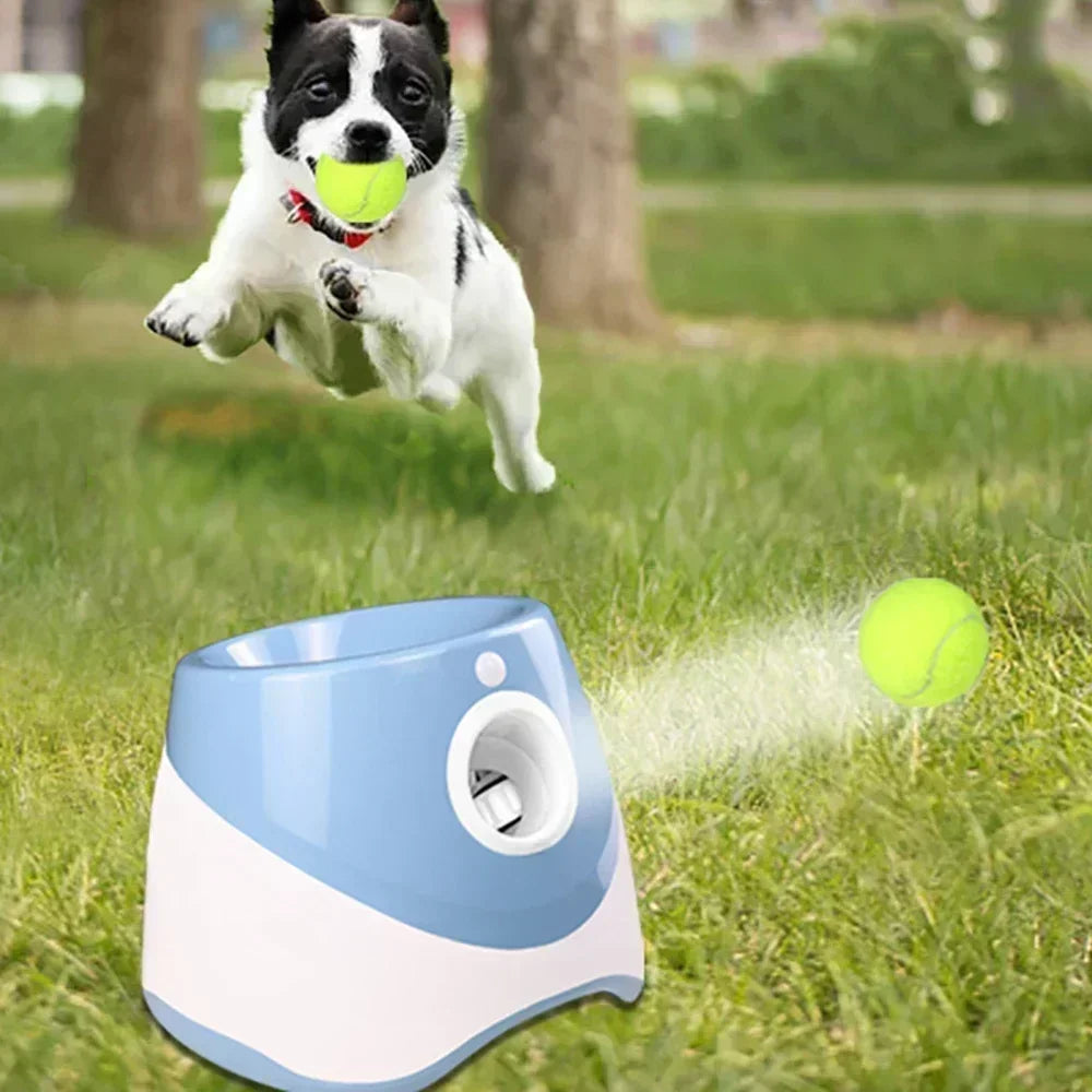 FetchMaster Pro: Auto Dog Ball Launcher