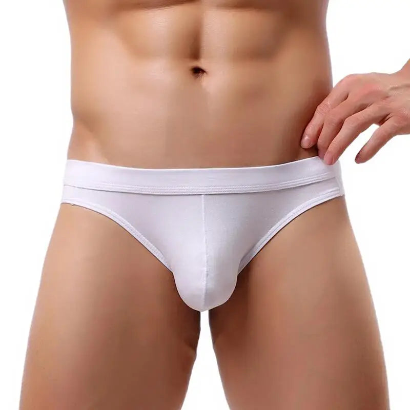 YUYANG Brand Underwear Men's Supersoft Modal Briefs Low Rise Sexy Comfortable Underpants Briefs for Man