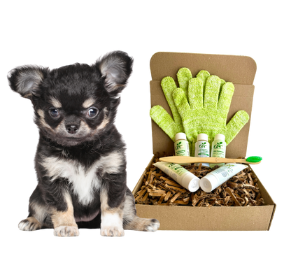 4-FURRY DOGS *SENSITIVE GROOMING KIT