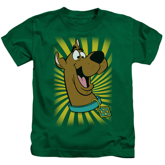 Scooby Doo™ T Shirt Juvenile Kids Youth T Shirt Kelly Green Officially Licensed