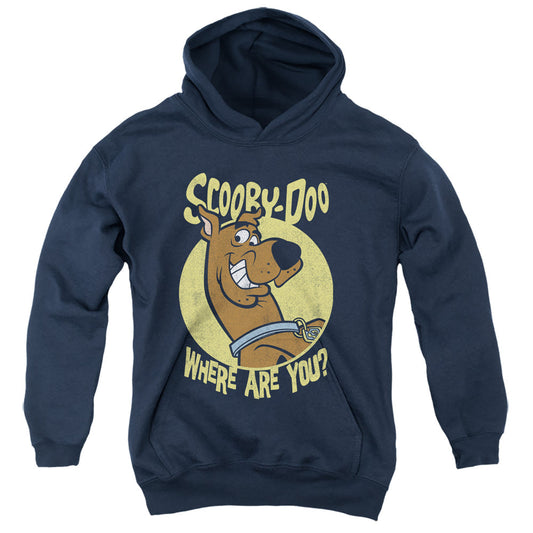 Scooby Doo Where Are You Kids Youth Hoodie Navy Blue Officially Licensed