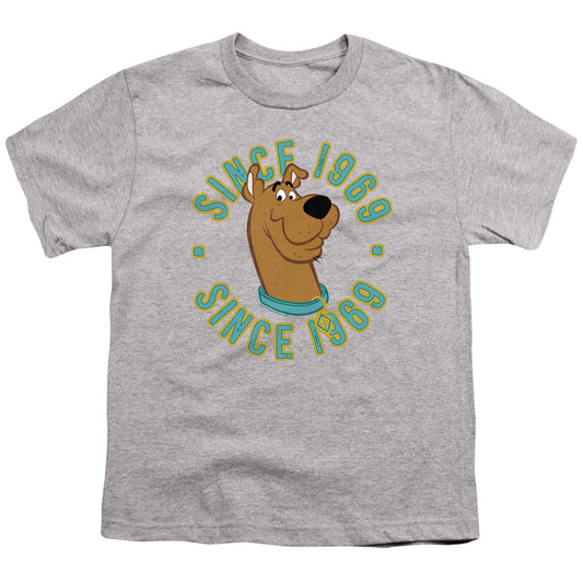 Scooby Doo Scooby 1969 Kids Youth T Shirt Athletic Heather Officially Licensed