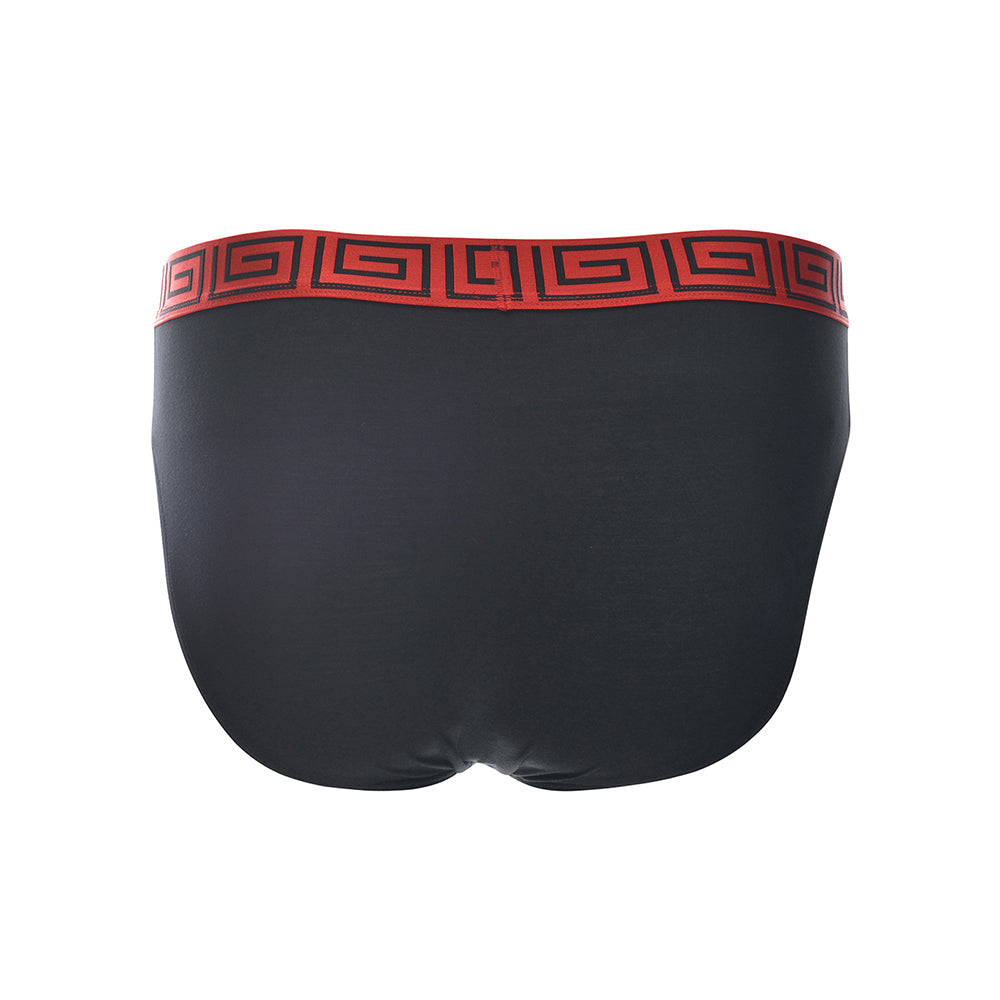 SHEATH Men's Dual Pouch Euro Briefs