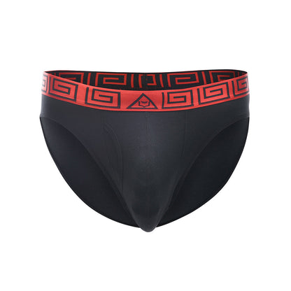 SHEATH Men's Dual Pouch Euro Briefs