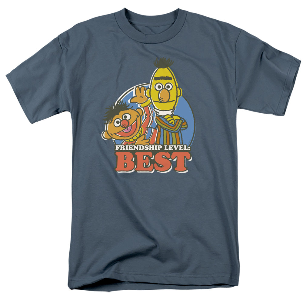 Sesame Street Bert & Ernie Friendship Level: Best Mens T Shirt Slate Officially Licensed