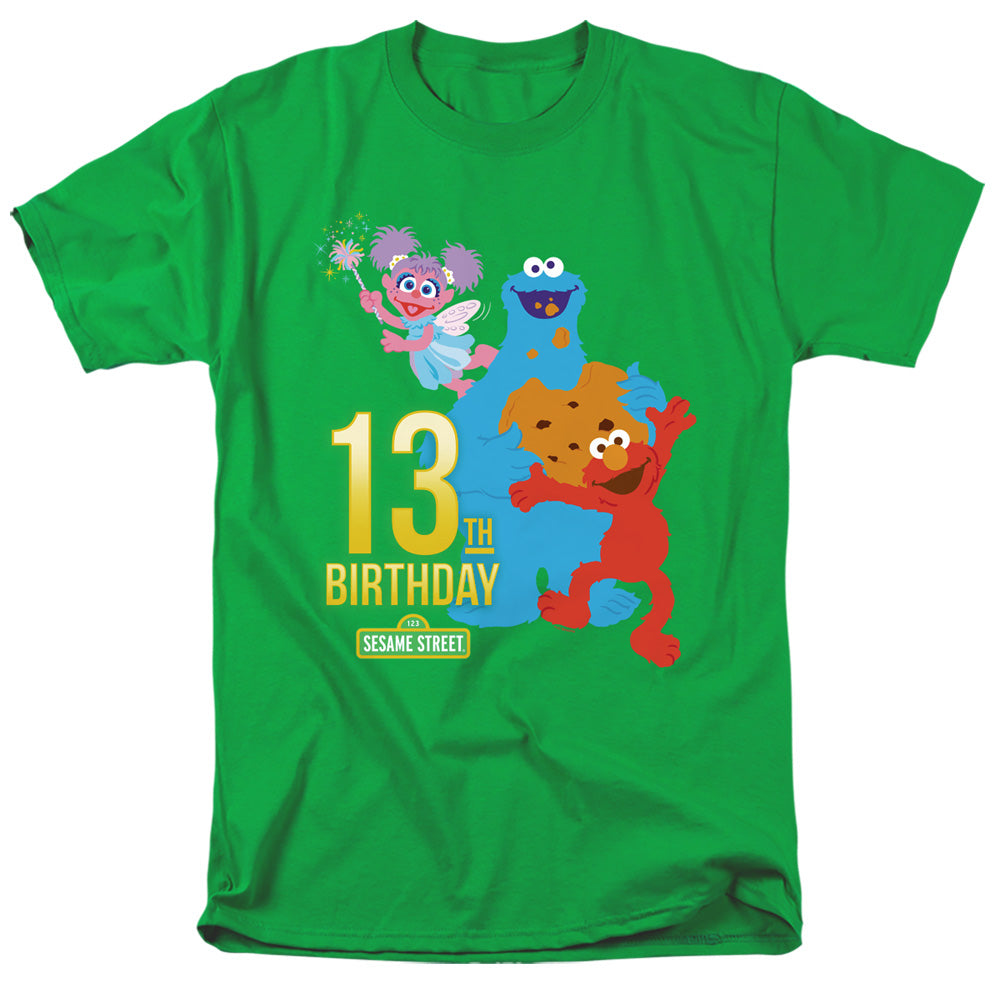 Sesame Street 13Th Birthday Mens T Shirt Kelly Green Officially Licensed