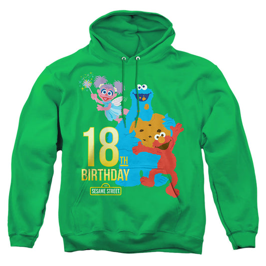 Sesame Street 18Th Birthday Mens Hoodie Kelly Green Officially Licensed