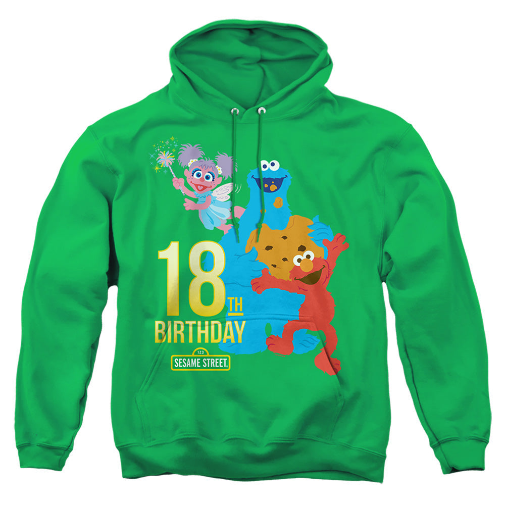 Sesame Street 18Th Birthday Mens Hoodie Kelly Green Officially Licensed