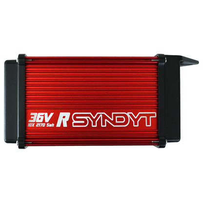 SYR Race Batteries