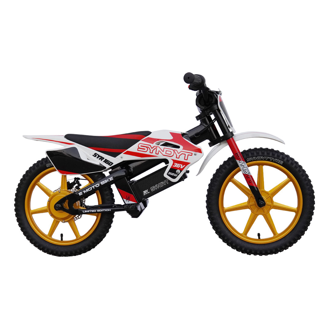 SYNDYT SYR 160 16" E Balance Bike. 36 Volts. 10 AH. 350 Watts. 5, 10, 16mph