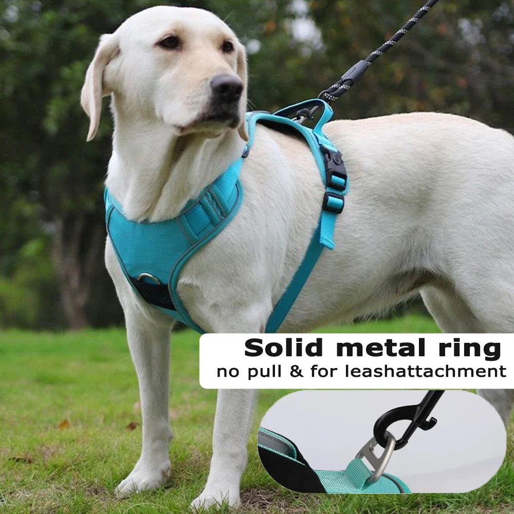 TrackSafe Reflective No-Pull Dog Harness & Leash Set