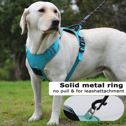 TrackSafe Reflective No-Pull Dog Harness & Leash Set